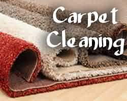 friendswood carpet cleaning